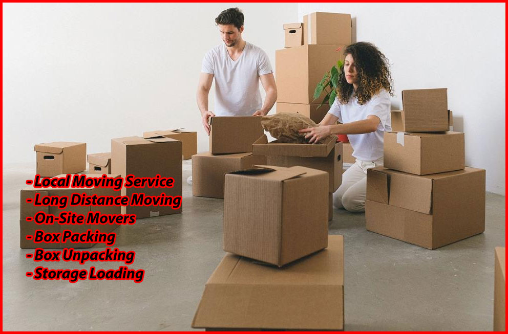 Packers And Movers Noida Sector 121